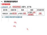 第50讲 微生物的培养技术及应用-备战2025年高考生物一轮复习精品课件（新高考通用）