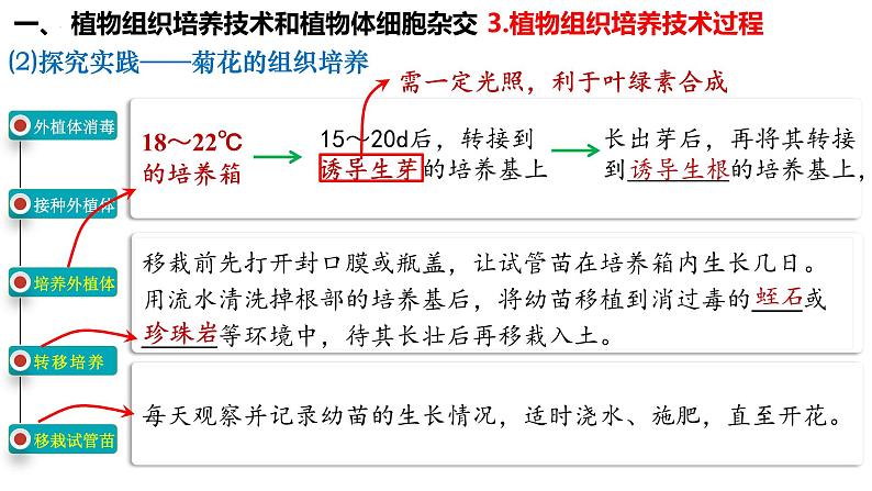 第51讲 植物细胞工程-备战2025年高考生物一轮复习精品课件（新高考通用）第7页