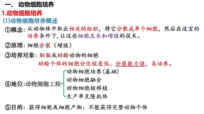 第52讲 动物细胞工程-备战2025年高考生物一轮复习精品课件（新高考通用）第3页