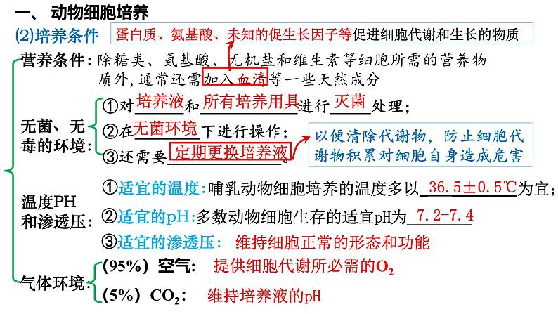 第52讲 动物细胞工程-备战2025年高考生物一轮复习精品课件（新高考通用）第4页