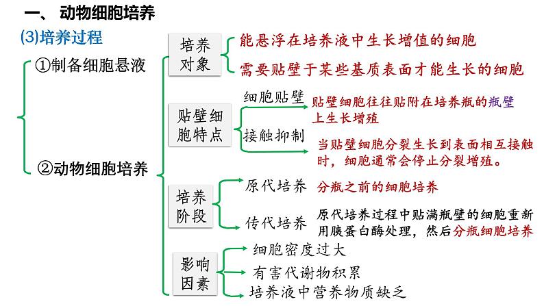 第52讲 动物细胞工程-备战2025年高考生物一轮复习精品课件（新高考通用）第6页