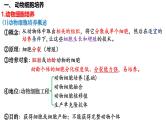 第52讲 动物细胞工程-备战2025年高考生物一轮复习精品课件（新高考通用）