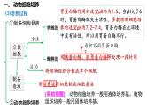 第52讲 动物细胞工程-备战2025年高考生物一轮复习精品课件（新高考通用）