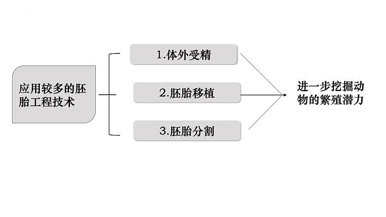 第53讲 胚胎工程-备战2025年高考生物一轮复习精品课件（新高考通用）第3页