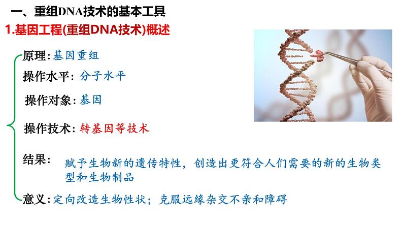 第54讲 基因工程-备战2025年高考生物一轮复习精品课件（新高考通用）第3页