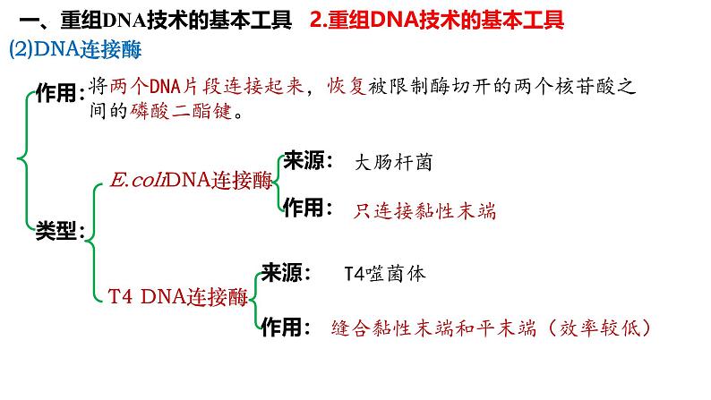 第54讲 基因工程-备战2025年高考生物一轮复习精品课件（新高考通用）第6页