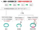 第54讲 基因工程-备战2025年高考生物一轮复习精品课件（新高考通用）