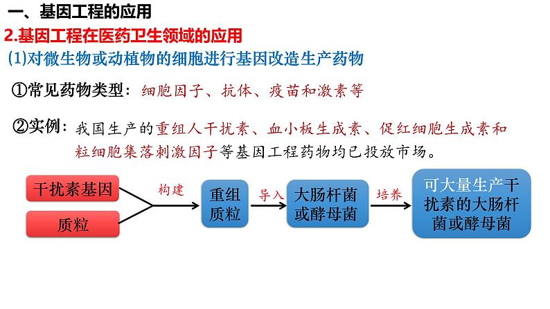 第55讲 基因工程的应用和蛋白质工程-备战2025年高考生物一轮复习精品课件（新高考通用）第6页