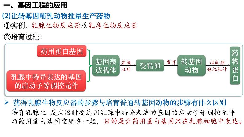 第55讲 基因工程的应用和蛋白质工程-备战2025年高考生物一轮复习精品课件（新高考通用）第7页