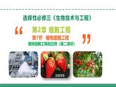 2.1 植物细胞工程的应用（第二课时）（教学课件）-2024-2025学年高二生物（人教版2019选择性必修3）