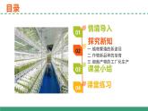 2.1 植物细胞工程的应用（第二课时）（教学课件）-2024-2025学年高二生物（人教版2019选择性必修3）