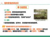 2.1 植物细胞工程的应用（第二课时）（教学课件）-2024-2025学年高二生物（人教版2019选择性必修3）