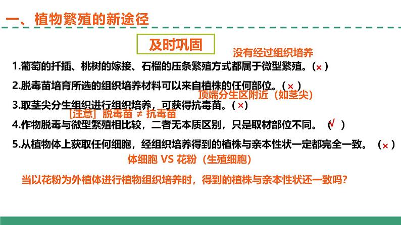 2.1 植物细胞工程的应用（第二课时）（教学课件）-2024-2025学年高二生物（人教版2019选择性必修3）第8页