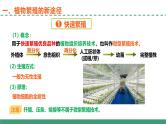 2.1 植物细胞工程的应用（第二课时）（教学课件）-2024-2025学年高二生物（人教版2019选择性必修3）