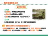 2.1 植物细胞工程的应用（第二课时）（教学课件）-2024-2025学年高二生物（人教版2019选择性必修3）