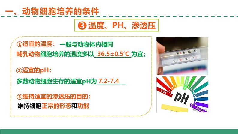 2.2 动物细胞培养（第一课时）（教学课件）-2024-2025学年高二生物（人教版2019选择性必修3）第8页