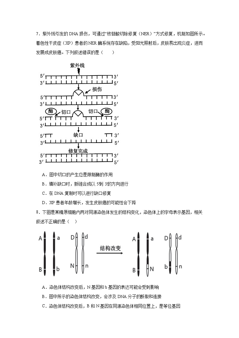 吉林地区普通中学2024-2025学年高三上学期第二次模试考试生物试题第3页