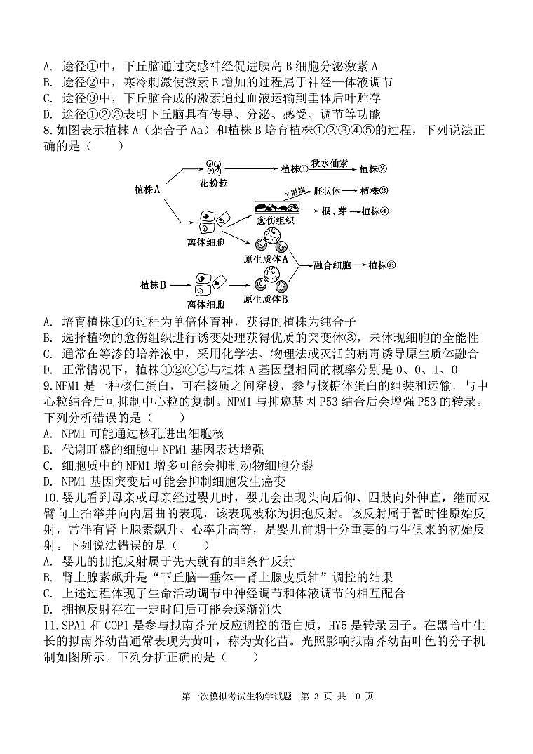 2025西安中学高三下学期第一次模拟考试生物PDF版无答案第3页