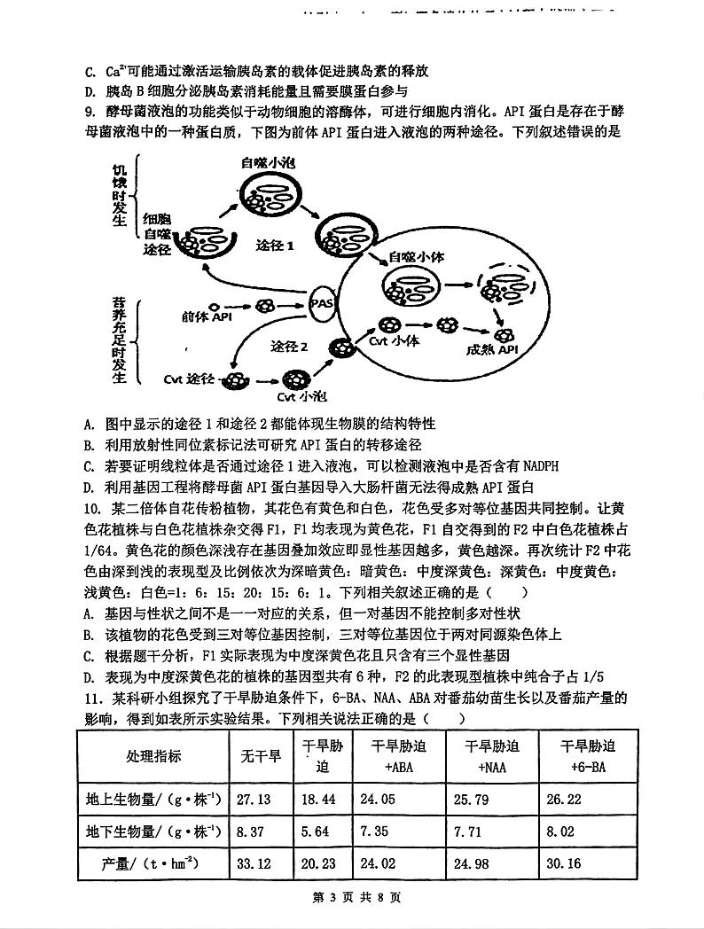 江西省南昌市第十中学2024—2025学年高三上学期期末考试生物试题第3页