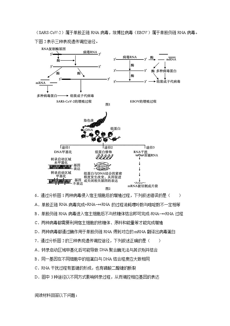 生物-2025届新高三开学摸底考试卷（浙江专用）第3页
