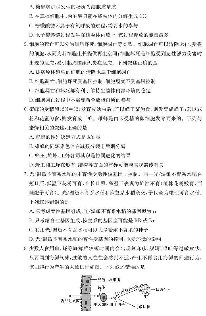 炎德·英才大联考长沙市一中 2025 届高三下学期月考试卷（六）生物试卷+答案第2页