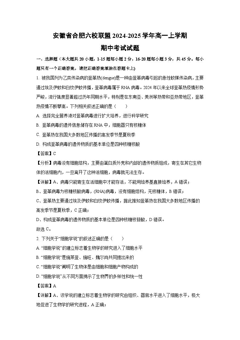 安徽省合肥六校联盟2024-2025学年高一上学期期中考试生物试题（解析版）第1页
