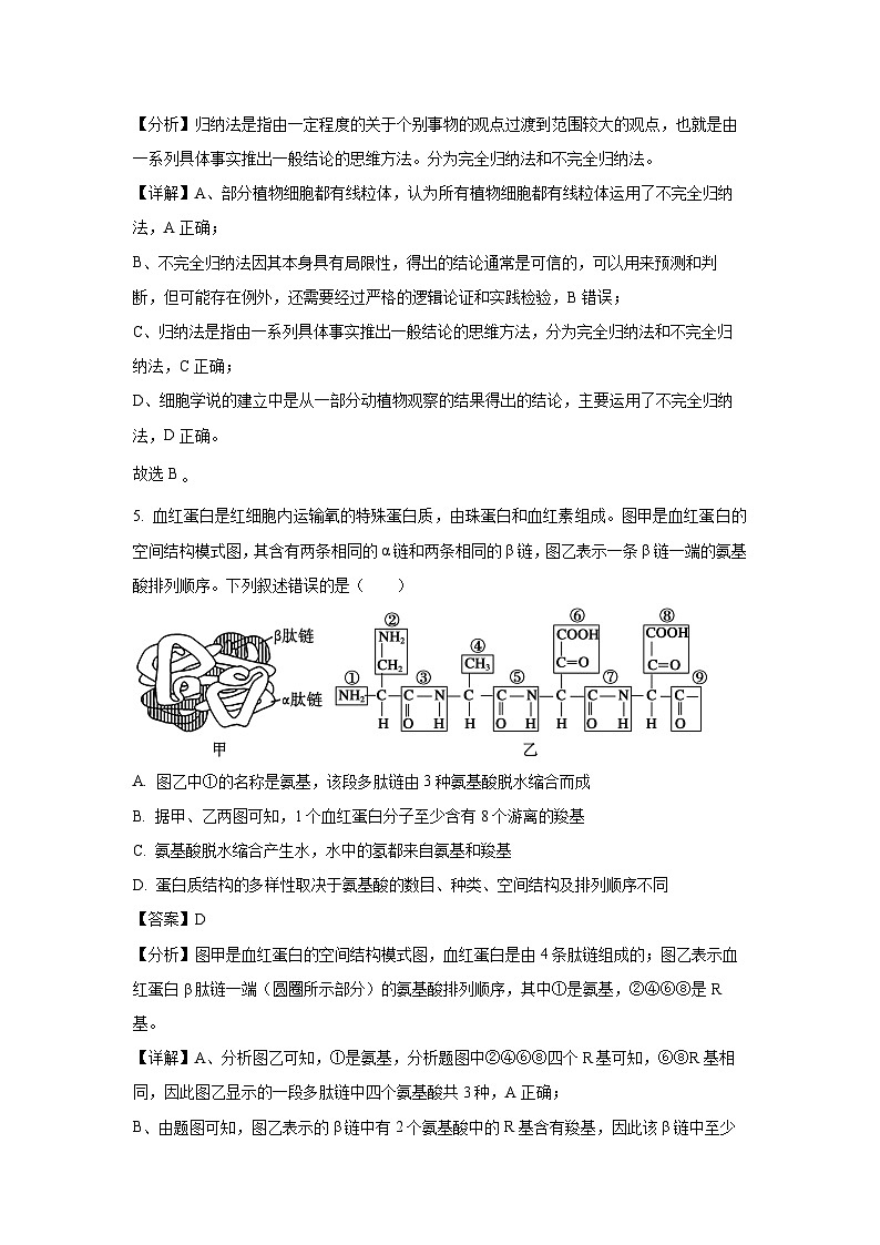 安徽省合肥六校联盟2024-2025学年高一上学期期中考试生物试题（解析版）第3页