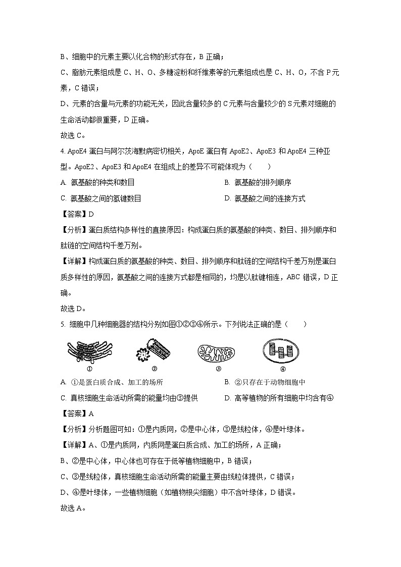 广西部分学校2024-2025学年高一上学期12月阶段性考试生物试题（解析版）第3页