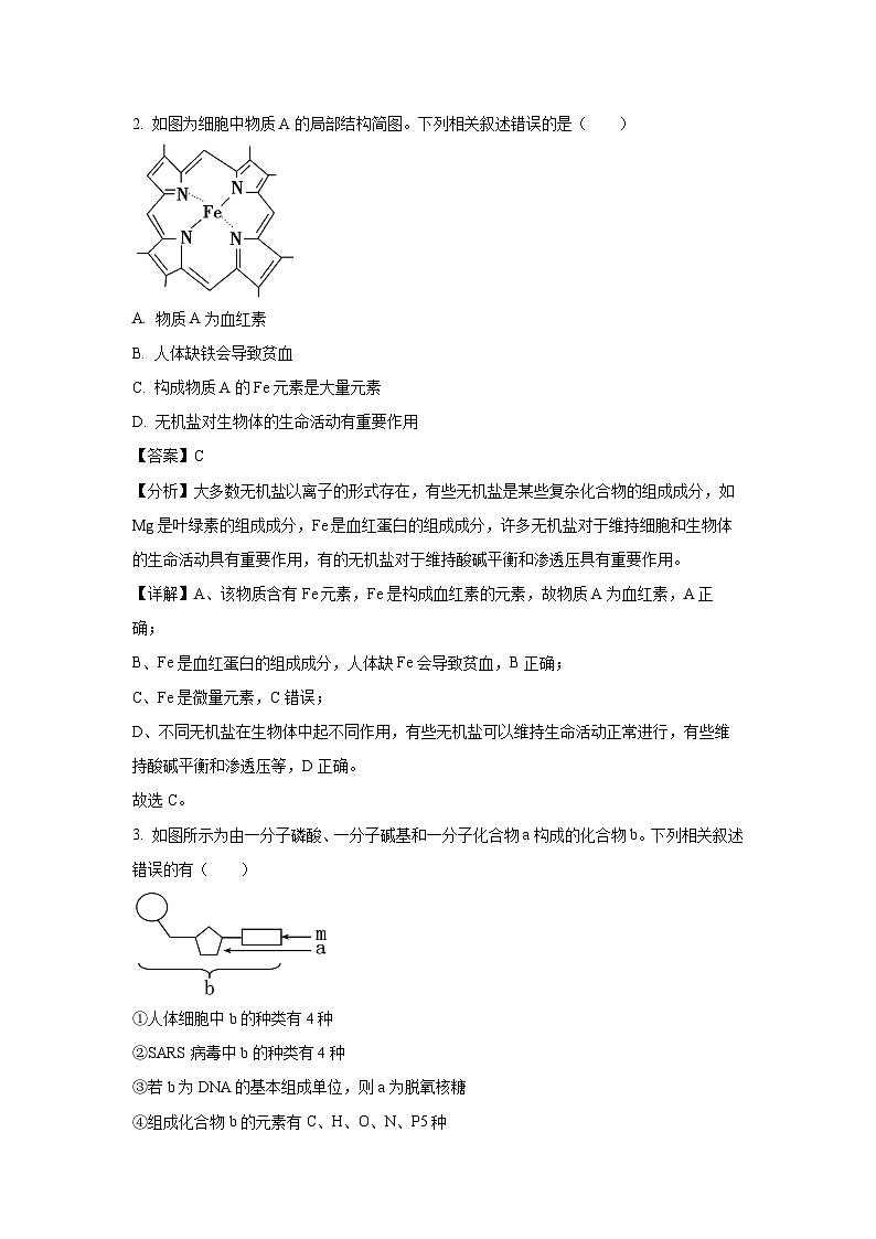 内蒙古鄂尔多斯市西四旗2024-2025学年高一上学期期末联考生物试题（解析版）第2页
