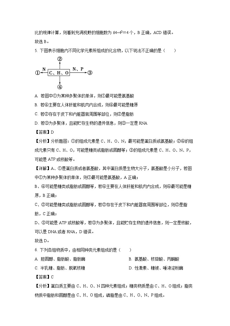宁夏回族自治区青铜峡市宁朔中学2024-2025学年高一上学期期末生物试题（解析版）第3页