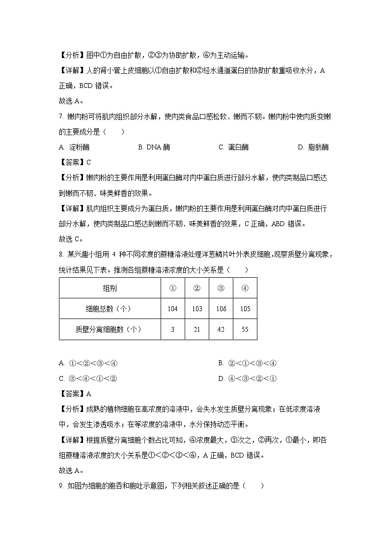 天津市部分区2024-2025学年高一上学期期末考试生物试题（解析版）第3页