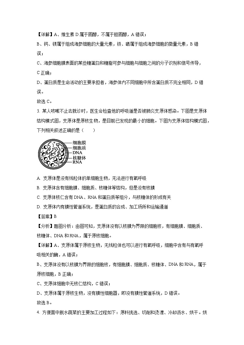 天津市河北区2024-2025学年高一上学期期末生物试卷（解析版）第2页