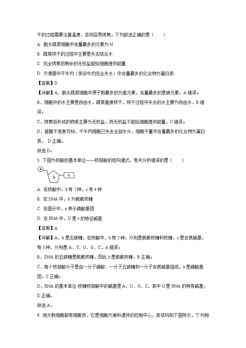 天津市河北区2024-2025学年高一上学期期末生物试卷（解析版）第3页