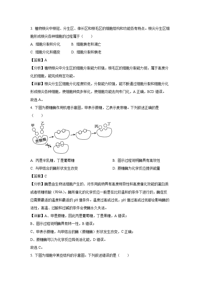 浙江省湖州市某校2024-2025学年高一上学期12月阶段性测试生物试题（解析版）第2页
