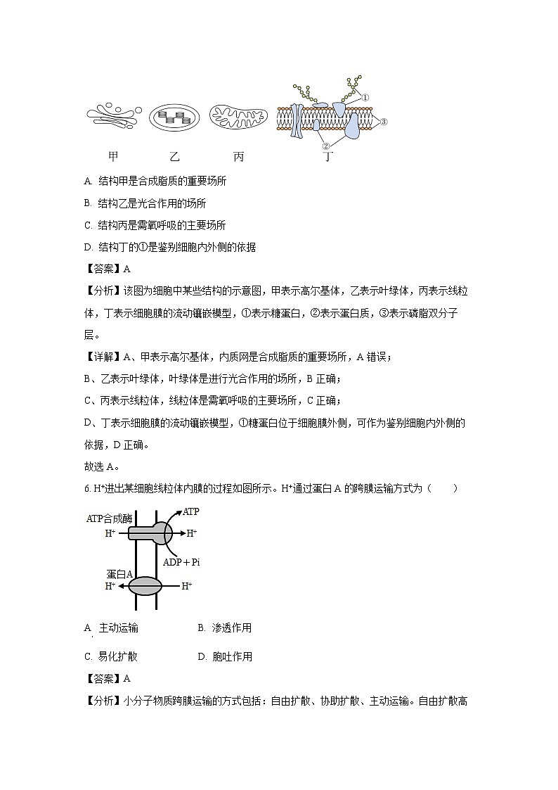 浙江省湖州市某校2024-2025学年高一上学期12月阶段性测试生物试题（解析版）第3页