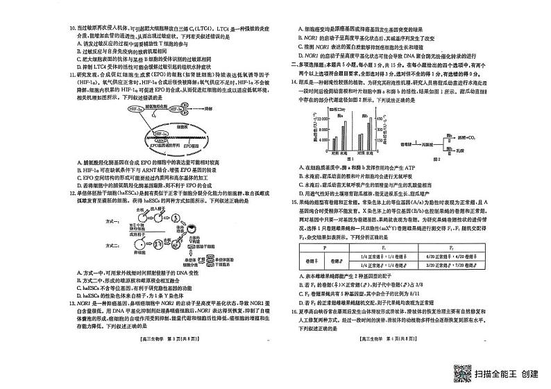 河北省保定市部分重点中学2024-2025学年高三下学期2月开学联考生物试题第2页
