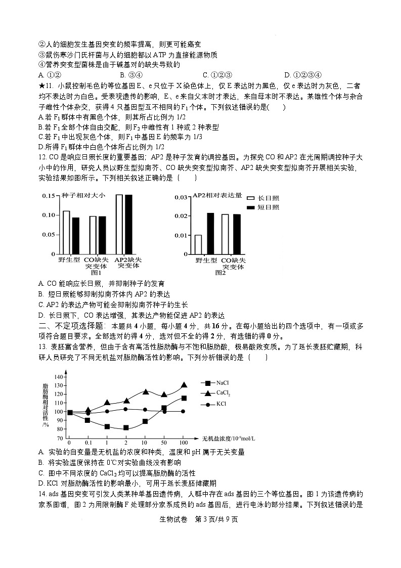湖南省岳阳县第一中学2024-2025学年高三下学期入学考试生物试题第3页