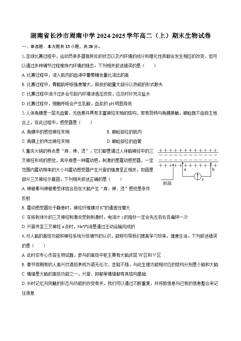 湖南省长沙市周南中学2024-2025学年高二（上）期末生物试卷-普通用卷第1页