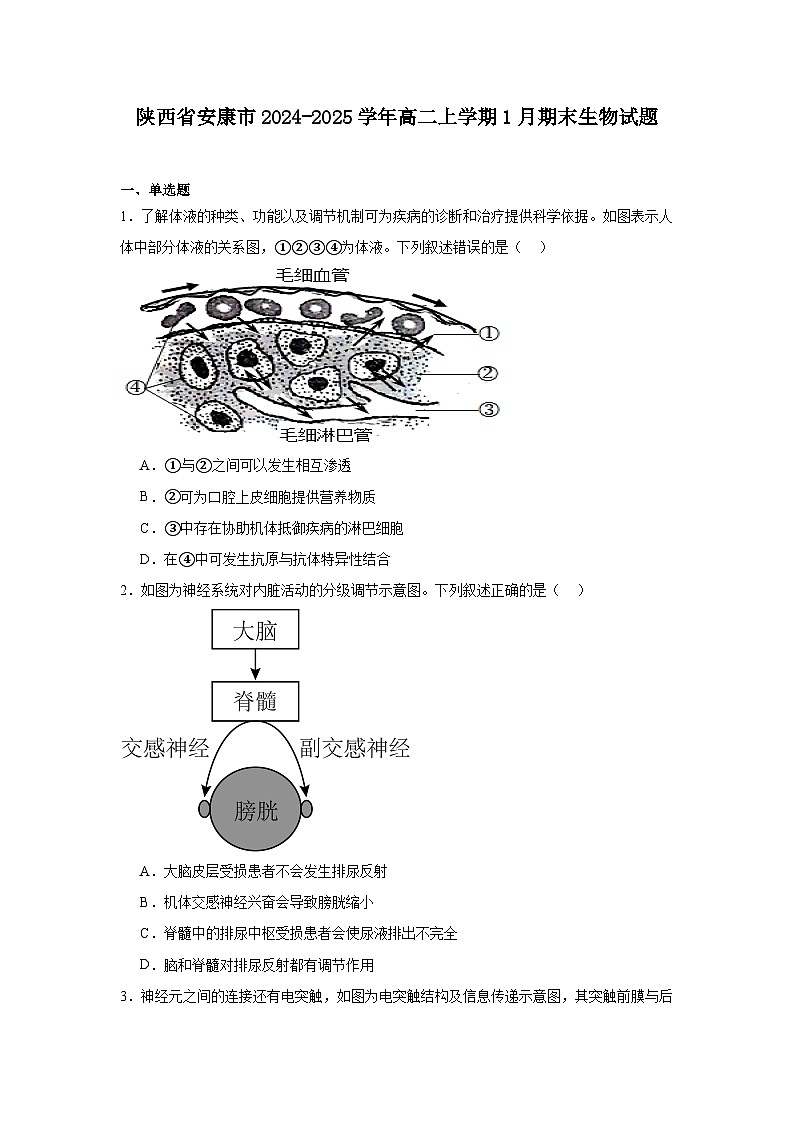 陕西省安康市2024-2025学年高二上学期1月期末生物试题第1页