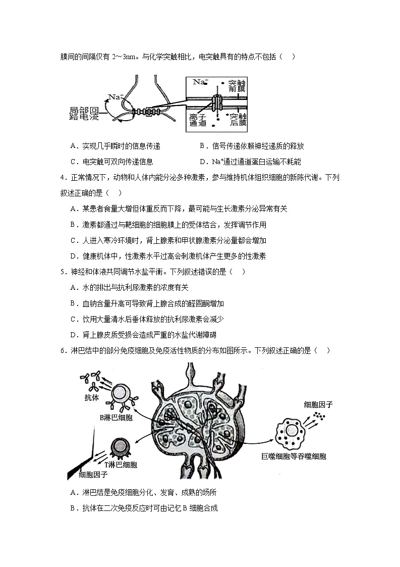 陕西省安康市2024-2025学年高二上学期1月期末生物试题第2页