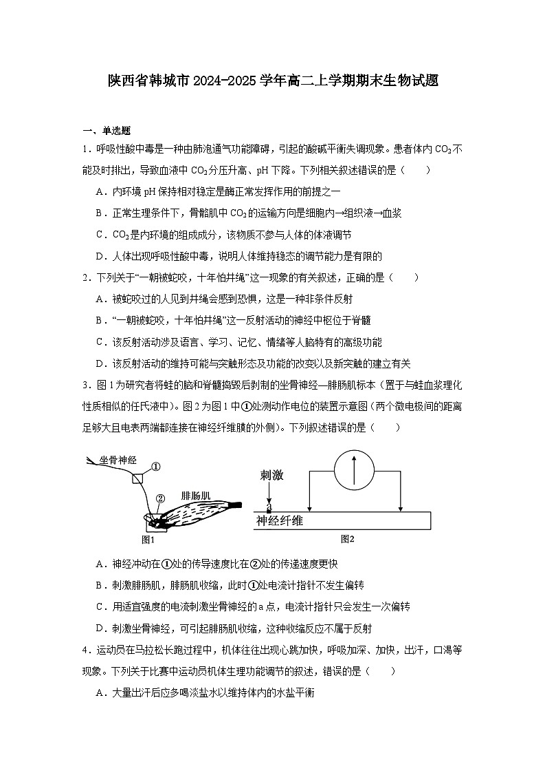 陕西省韩城市2024-2025学年高二上学期期末生物试题第1页