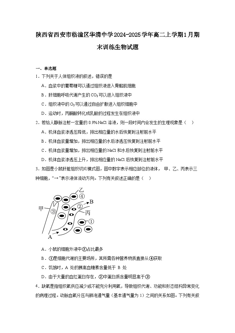 陕西省西安市临潼区华清中学2024-2025学年高二上学期1月期末生物试题第1页