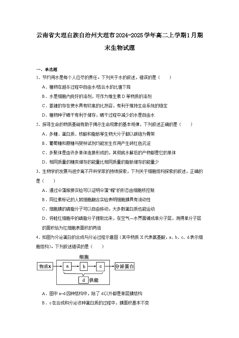 云南省大理白族自治州大理市2024-2025学年高二上学期1月期末生物试题第1页