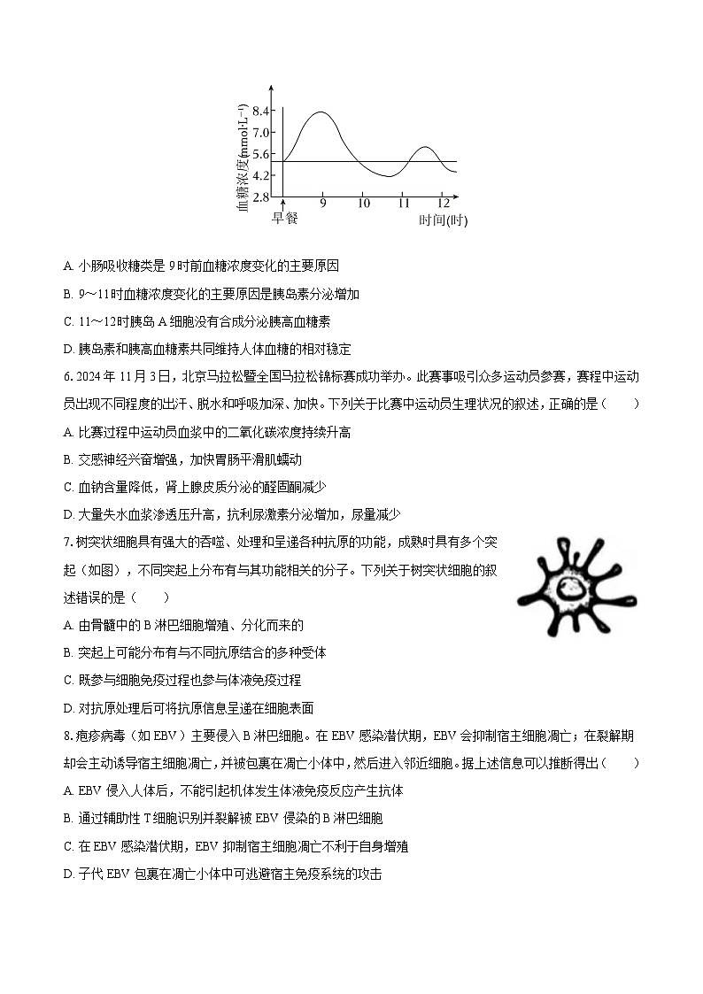 2024-2025学年北京市东城区高二（上）期末生物试卷第2页
