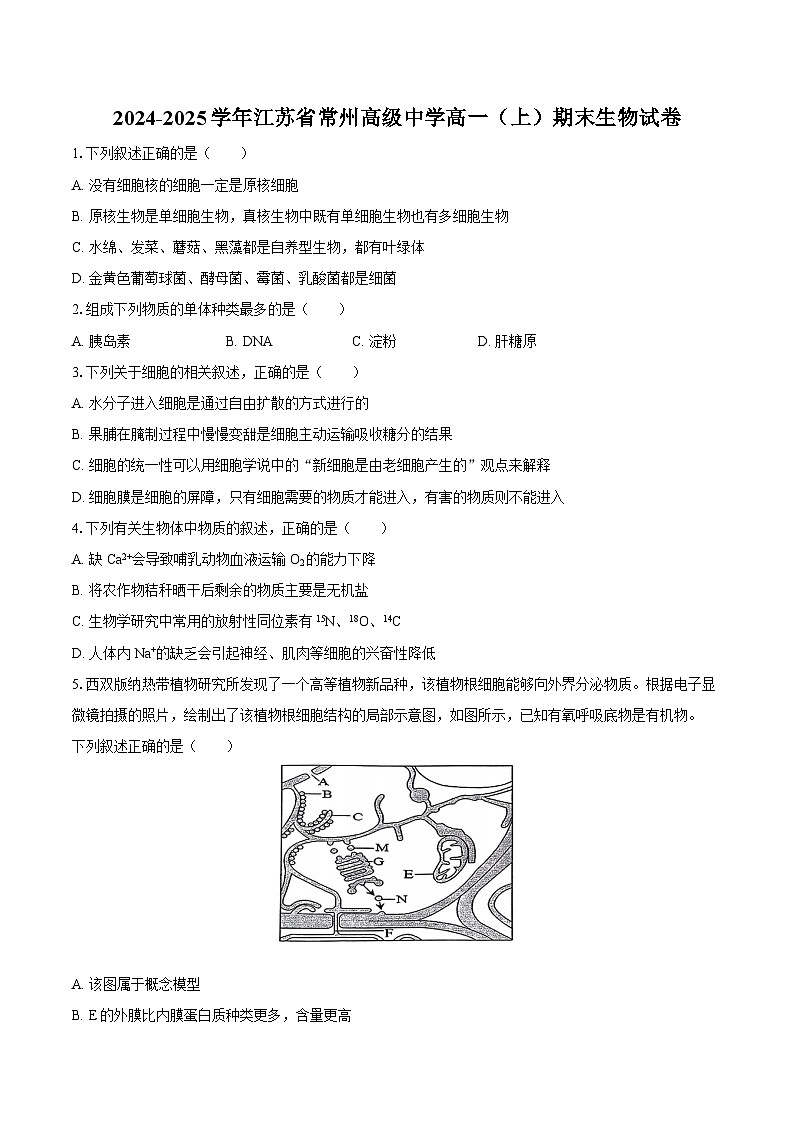 2024-2025学年江苏省常州高级中学高一（上）期末生物试卷（含解析）第1页