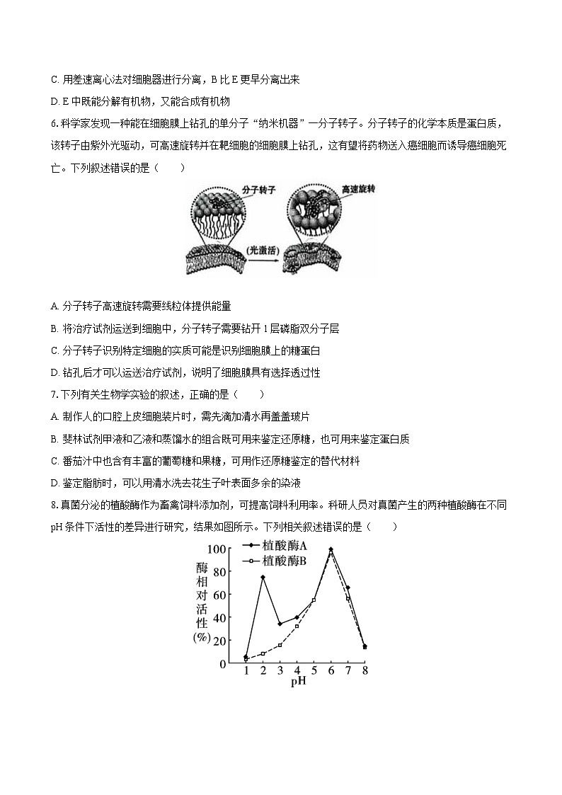 2024-2025学年江苏省常州高级中学高一（上）期末生物试卷（含解析）第2页