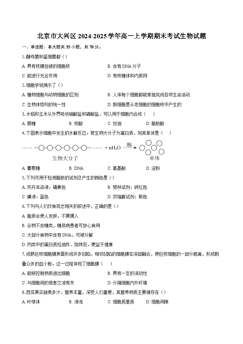 北京市大兴区2024-2025学年高一上学期期末考试生物试题（含解析）第1页