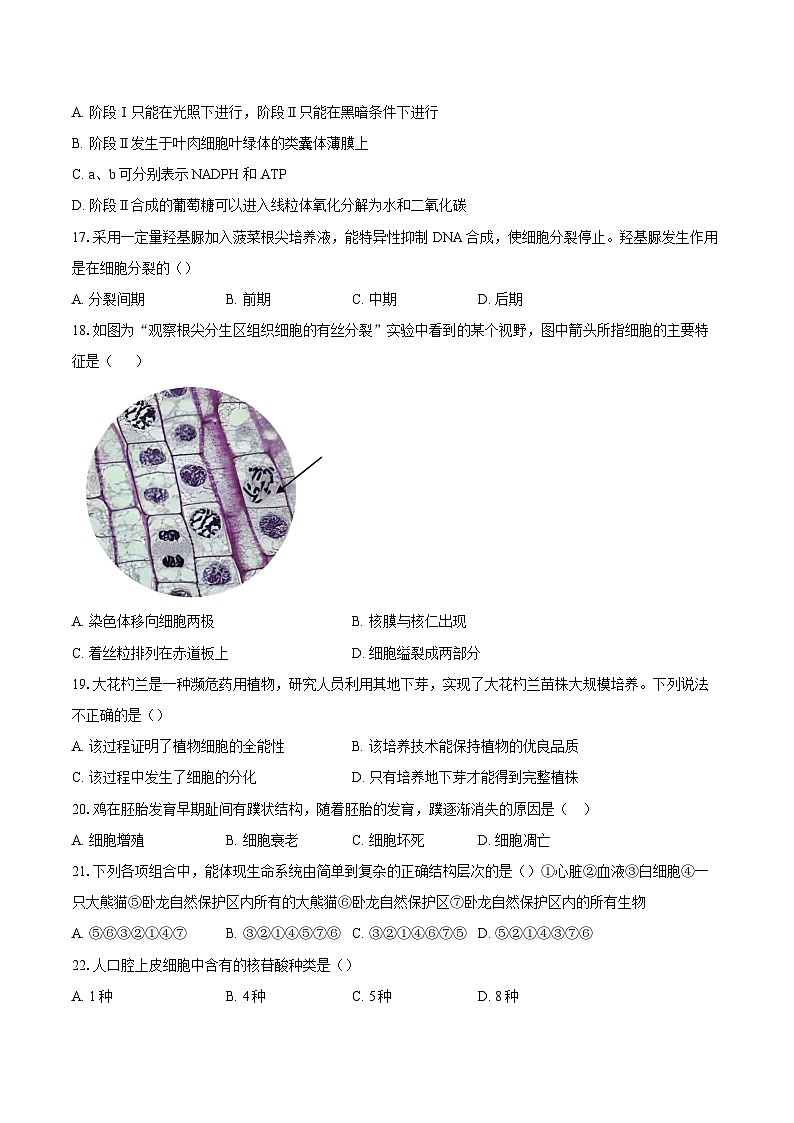 北京市大兴区2024-2025学年高一上学期期末考试生物试题（含解析）第3页