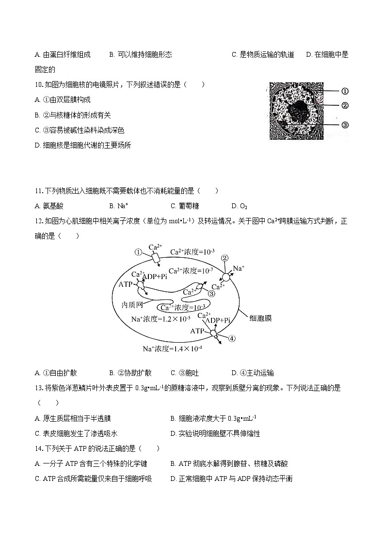 北京市西城区2024-2025学年高一（上）期末生物试卷（含解析）第2页