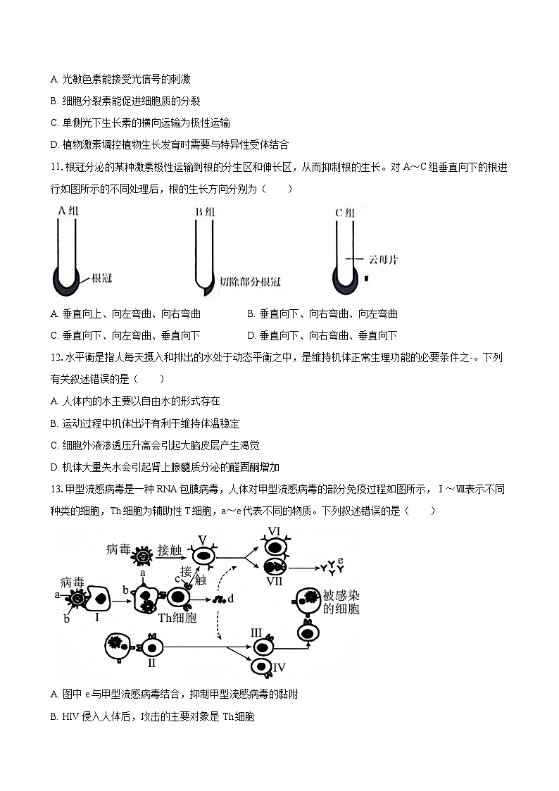 甘肃省白银市2024-2025学年高二（上）期末生物试卷（含解析）第3页